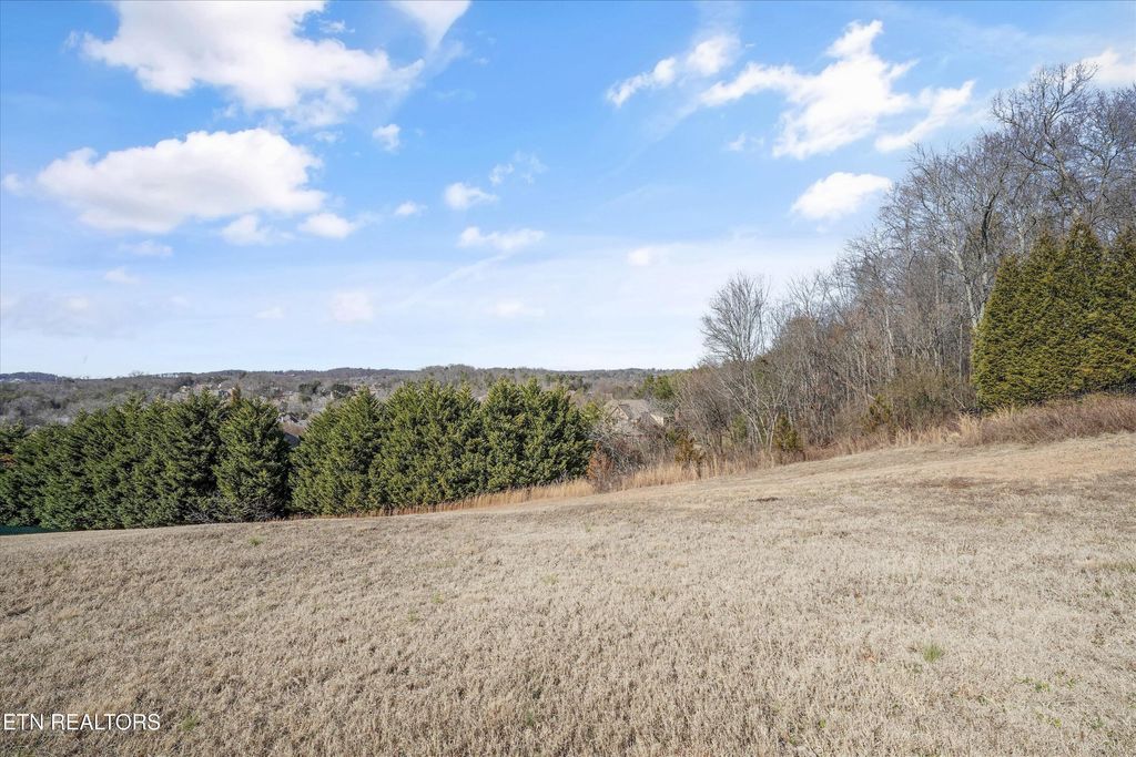 Photo of 1228 Anthem View Lane, Knoxville, TN 37922 (MLS # 1331414)