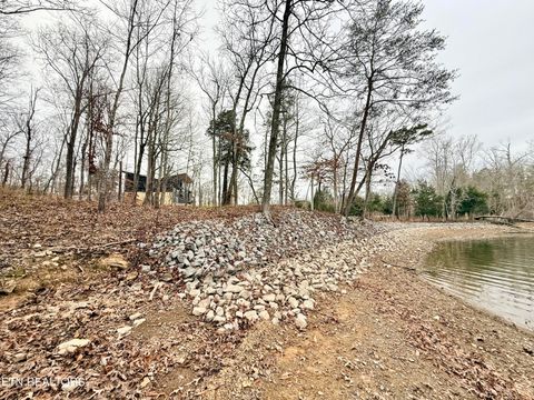 Tiny photo for 77 Indian Shadows Drive, Ten Mile, TN 37880 (MLS # 1322893)