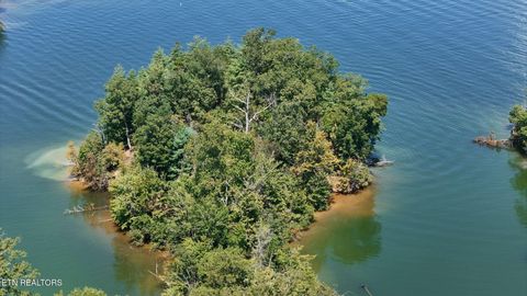 Tiny photo for 77 Indian Shadows Drive, Ten Mile, TN 37880 (MLS # 1322893)