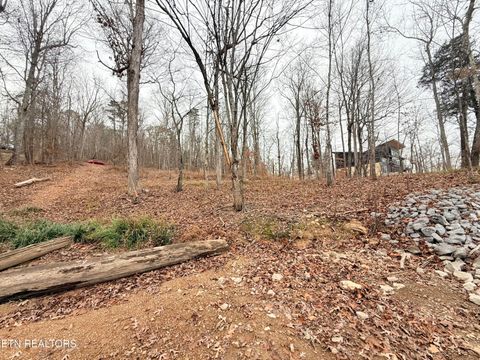 Tiny photo for 77 Indian Shadows Drive, Ten Mile, TN 37880 (MLS # 1322893)