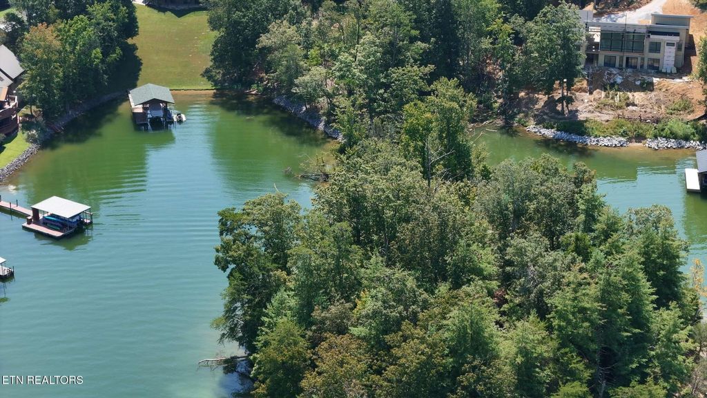 Photo of 77 Indian Shadows Drive, Ten Mile, TN 37880 (MLS # 1322893)