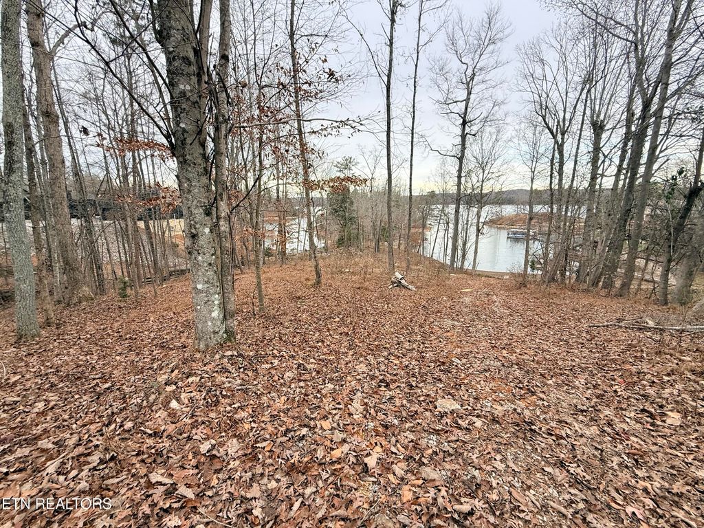 Photo of 77 Indian Shadows Drive, Ten Mile, TN 37880 (MLS # 1322893)