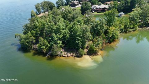 Tiny photo for 77 Indian Shadows Drive, Ten Mile, TN 37880 (MLS # 1322893)