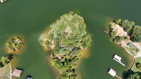 Tiny photo for 77 Indian Shadows Drive, Ten Mile, TN 37880 (MLS # 1322893)