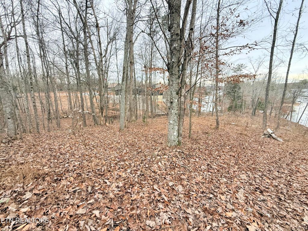 Photo of 77 Indian Shadows Drive, Ten Mile, TN 37880 (MLS # 1322893)