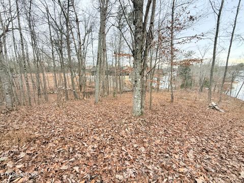 Tiny photo for 77 Indian Shadows Drive, Ten Mile, TN 37880 (MLS # 1322893)