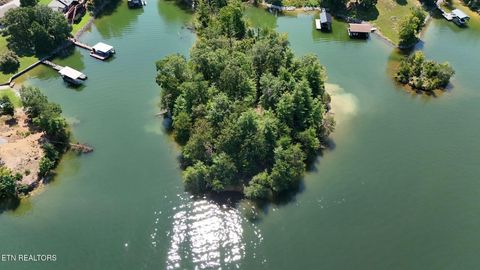 Tiny photo for 77 Indian Shadows Drive, Ten Mile, TN 37880 (MLS # 1322893)