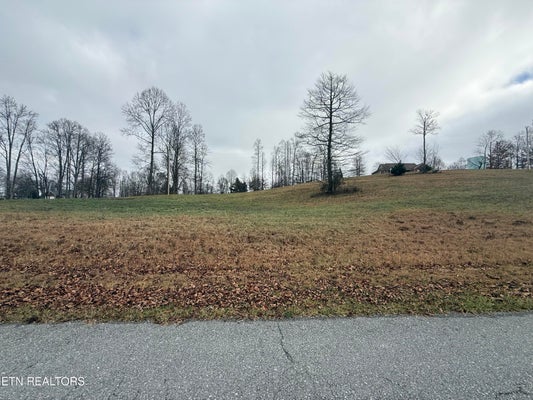 135 OAK POINT DR, JONESVILLE, VA 24263 - Image c2a0f3f5c1d0a165d68da13570230b14/58956553