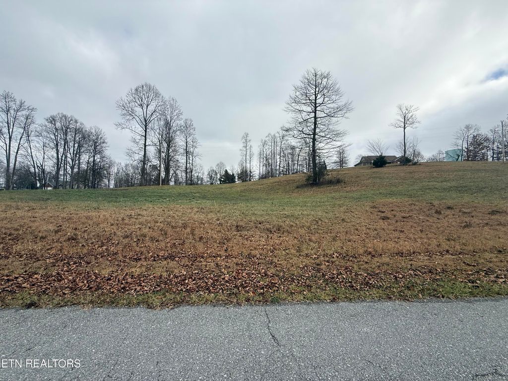 Photo of 29 Oak Point Drive, Jonesville, VA 24263 (MLS # 1323501)