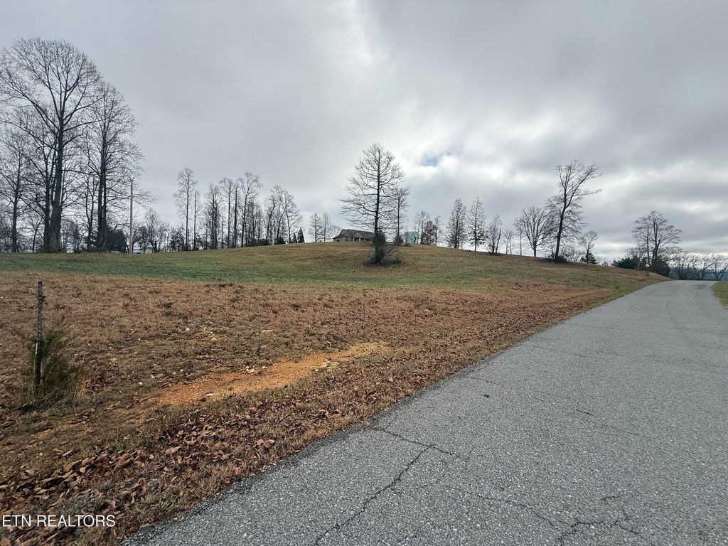 Photo of 29 Oak Point Drive, Jonesville, VA 24263 (MLS # 1323501)