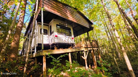 Tiny photo for 919 Serenity Circle #137&136, Cosby, TN 37722 (MLS # 1335926)