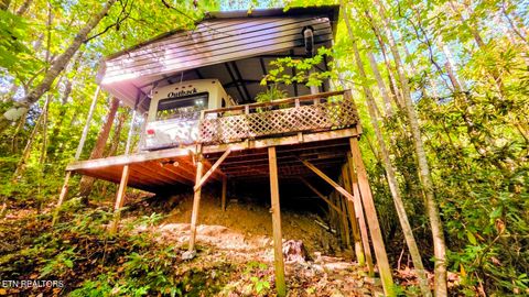 Tiny photo for 919 Serenity Circle #137&136, Cosby, TN 37722 (MLS # 1335926)