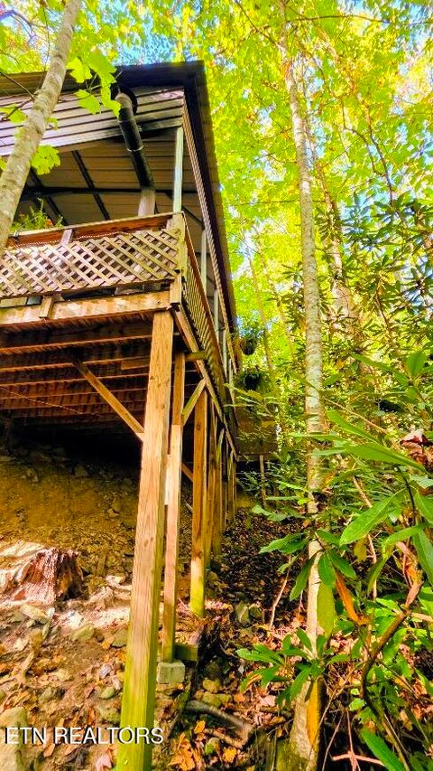 Tiny photo for 919 Serenity Circle #137&136, Cosby, TN 37722 (MLS # 1335926)