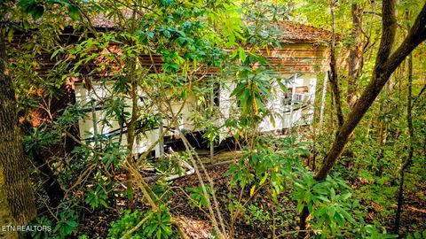 Tiny photo for 919 Serenity Circle #137&136, Cosby, TN 37722 (MLS # 1335926)