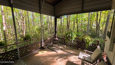 Tiny photo for 919 Serenity Circle #137&136, Cosby, TN 37722 (MLS # 1335926)