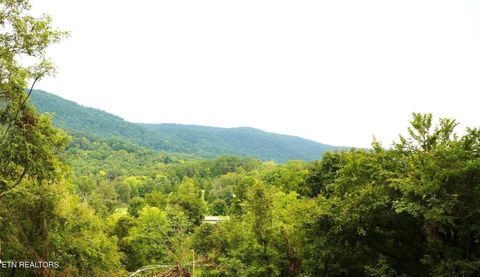 Tiny photo for 208 Mountain Rd, Luttrell, TN 37779 (MLS # 1329365)