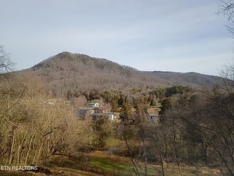 Tiny photo for 208 Mountain Rd, Luttrell, TN 37779 (MLS # 1329365)