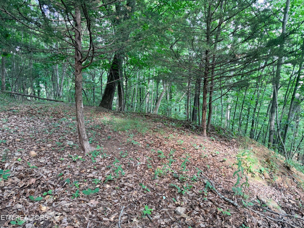 Photo of 188 Chimney Rock Rd, New Tazewell, TN 37825 (MLS # 1344889)