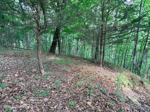 Photo of 188 Chimney Rock Rd, New Tazewell, TN 37825 (MLS # 1344889)