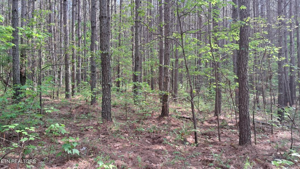 Photo of Airport Rd - Lot 15 (PCA), Rockwood, TN 37854 (MLS # 1299449)