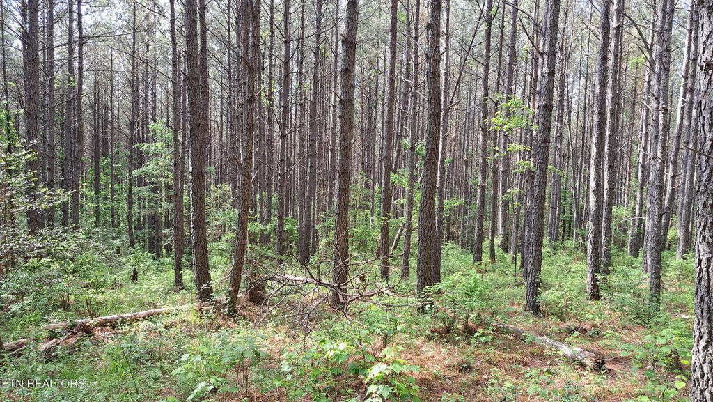 Photo of Airport Rd - Lot 15 (PCA), Rockwood, TN 37854 (MLS # 1299449)