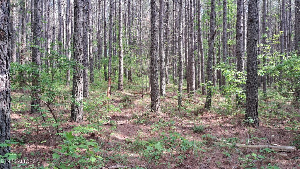 Photo of Airport Rd - Lot 15 (PCA), Rockwood, TN 37854 (MLS # 1299449)