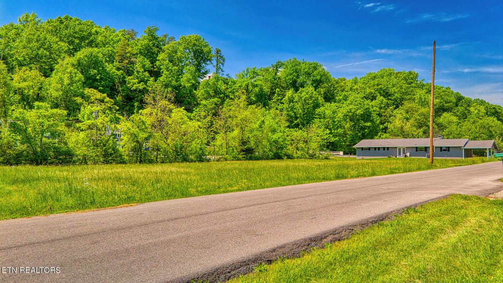 Photo of Nancy St, Pigeon Forge, TN 37863 (MLS # 1329773)