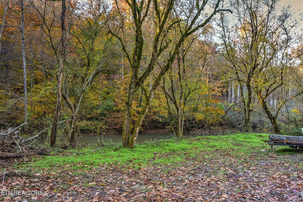 Photo of 333 Frost Bottom Rd, Oliver Springs, TN 37840 (MLS # 1320387)