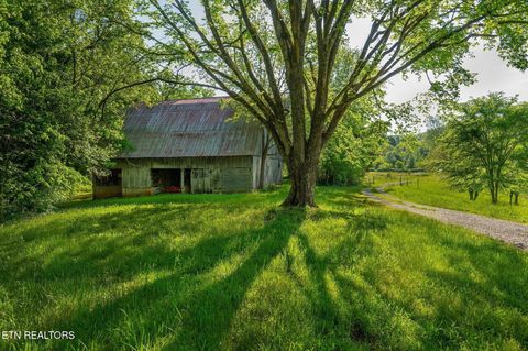 Tiny photo for 1912 Joppa Rd, Walling, TN 38587 (MLS # 1332415)