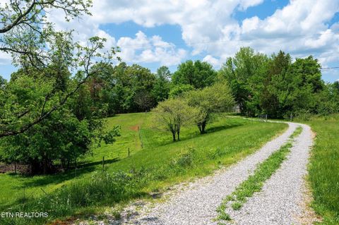 Tiny photo for 1912 Joppa Rd, Walling, TN 38587 (MLS # 1332415)