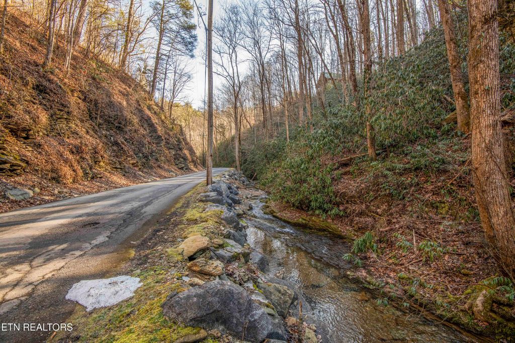 Photo of N Clear Fork Rd #Lot 4, Sevierville, TN 37862 (MLS # 1329618)