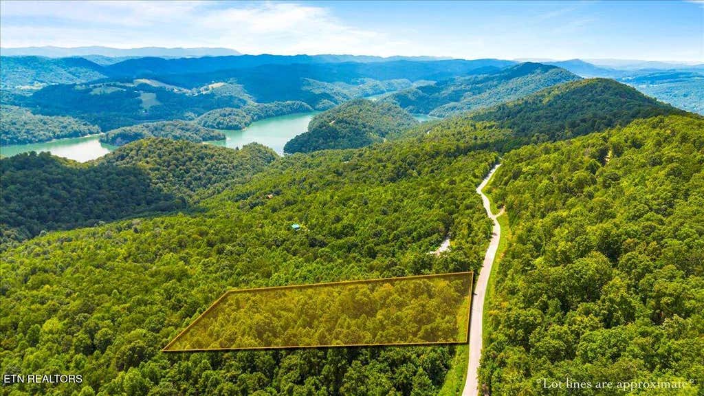 Photo of 634 Chimney Rock Rd, New Tazewell, TN 37825 (MLS # 1350996)