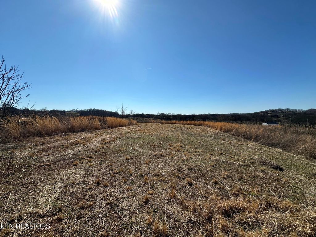 Photo of 000 Randolph Fridley Rd, Sweetwater, TN 37874 (MLS # 1330929)