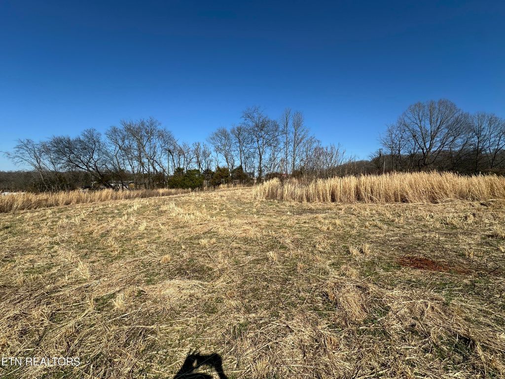 Photo of 000 Randolph Fridley Rd, Sweetwater, TN 37874 (MLS # 1330929)