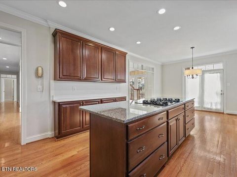 Tiny photo for 821 Mckinley Pointe Lane, Knoxville, TN 37934 (MLS # 1326304)