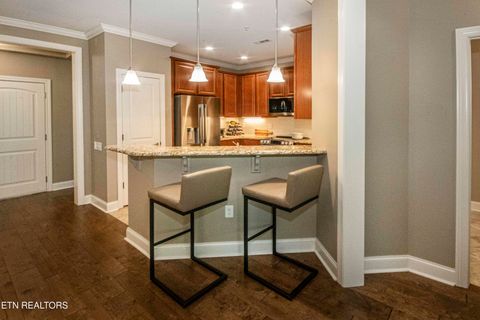 Tiny photo for 315 Centennial Bluff Blvd, Oak Ridge, TN 37830 (MLS # 1337335)