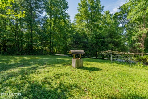 Tiny photo for 106 Guy Hamby Rd, Lancing, TN 37770 (MLS # 1356259)