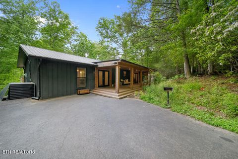 515 Johnson Lane Gatlinburg TN 37738