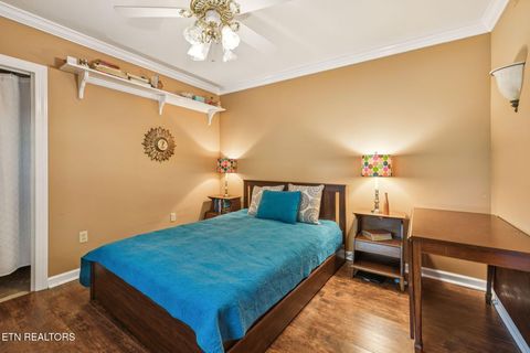 Tiny photo for 10808 Sonja Drive, Knoxville, TN 37934 (MLS # 1317415)