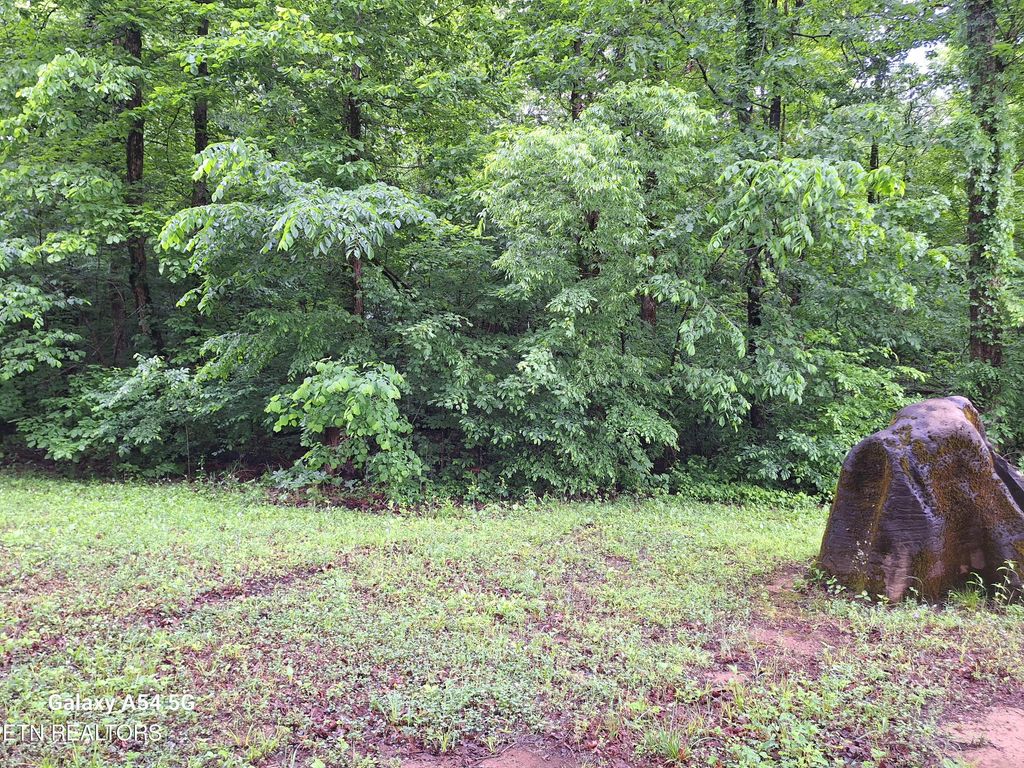 Photo of (Cloyds Creek ) Meadow Rd West, Greenback, TN 37742 (MLS # 1262313)