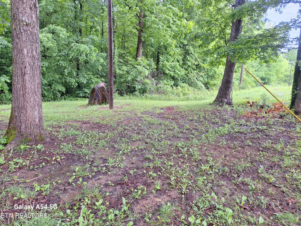 Photo of (Cloyds Creek ) Meadow Rd West, Greenback, TN 37742 (MLS # 1262313)