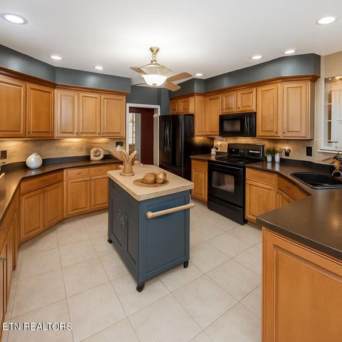 Tiny photo for 111 Nunnehi Tr, Vonore, TN 37885 (MLS # 1319297)