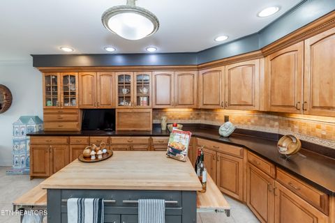 Tiny photo for 111 Nunnehi Tr, Vonore, TN 37885 (MLS # 1319297)