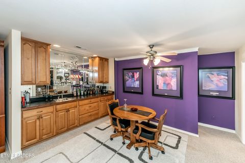 Tiny photo for 111 Nunnehi Tr, Vonore, TN 37885 (MLS # 1319297)