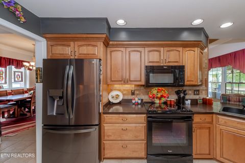 Tiny photo for 111 Nunnehi Tr, Vonore, TN 37885 (MLS # 1319297)