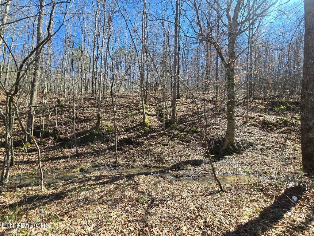 Photo of 0 Straight Fork Rd, Huntsville, TN 37756 (MLS # 1332843)