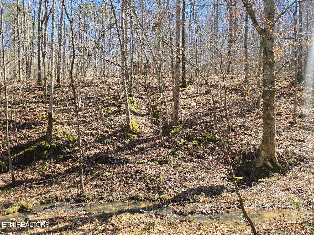 Photo of 0 Straight Fork Rd, Huntsville, TN 37756 (MLS # 1332843)