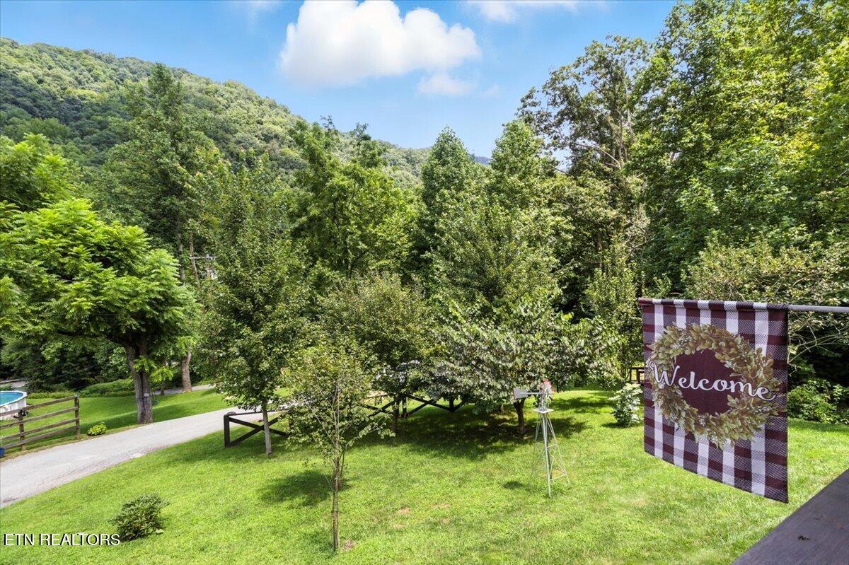 20 Tan Trough Hollow Rd