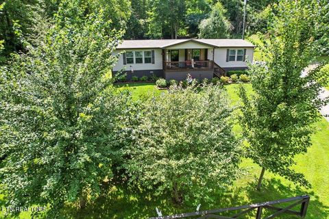 20 Tan Trough Hollow Rd Evarts KY 40828