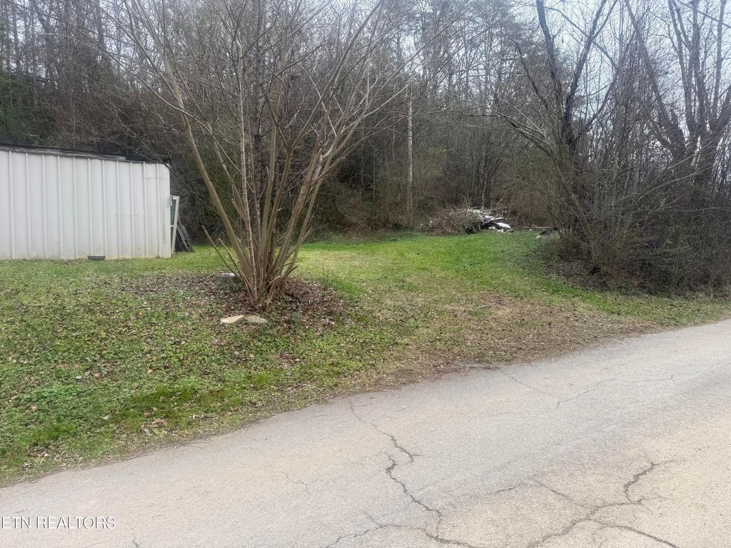 Photo of 613 Baumgartner Rd, Harriman, TN 37748 (MLS # 1324965)